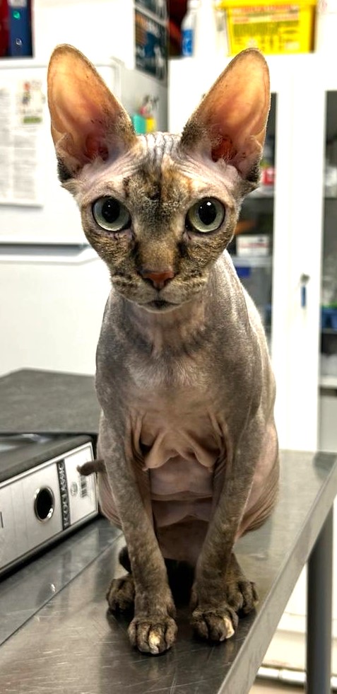 <h3 style="color:#005b98"> Fotografía </h3>