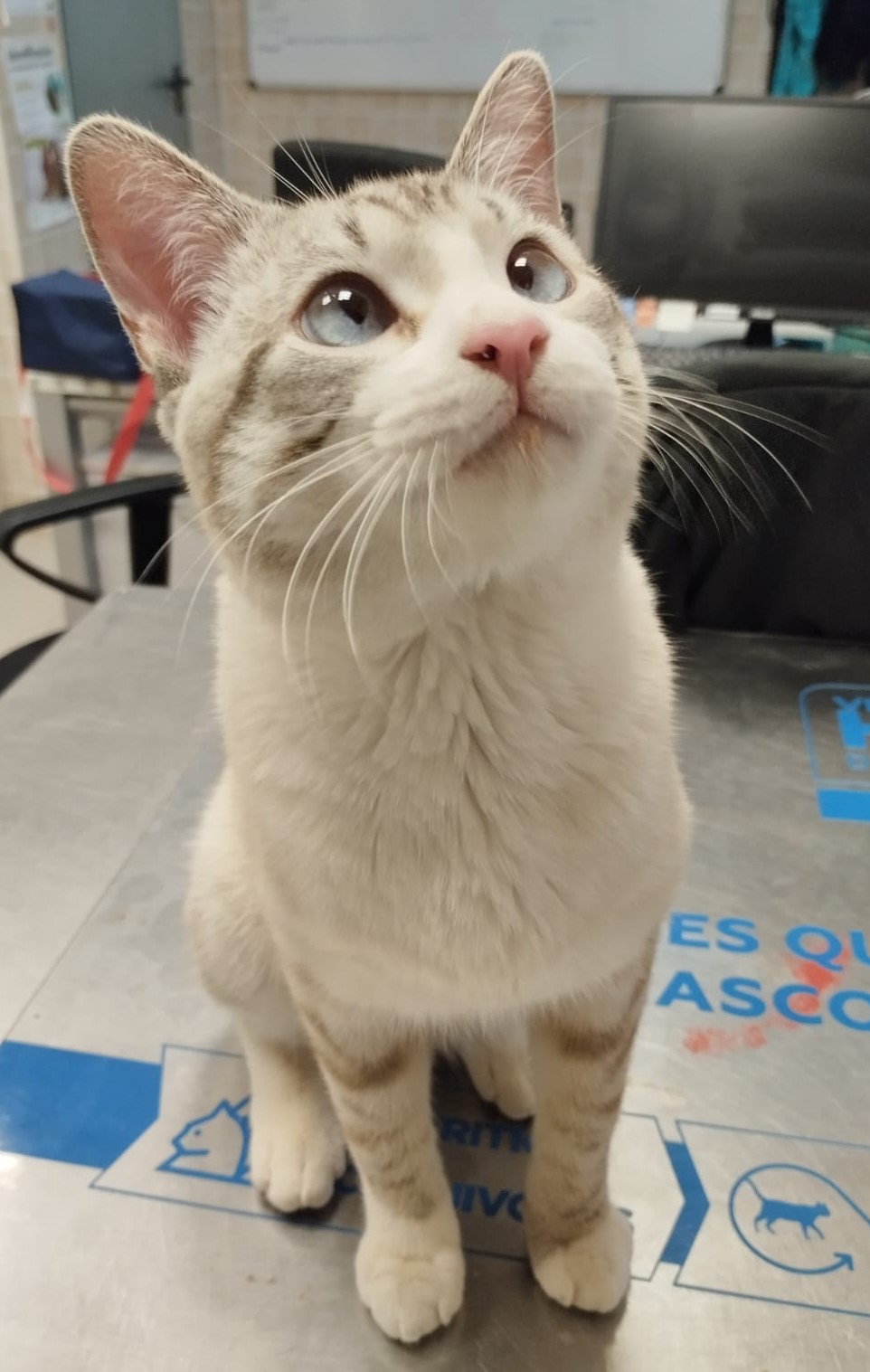 <h3 style="color:#005b98"> Fotografía </h3>