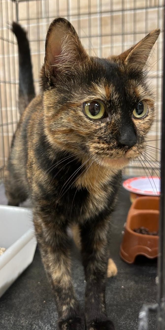 <h3 style="color:#005b98"> Fotografía </h3>