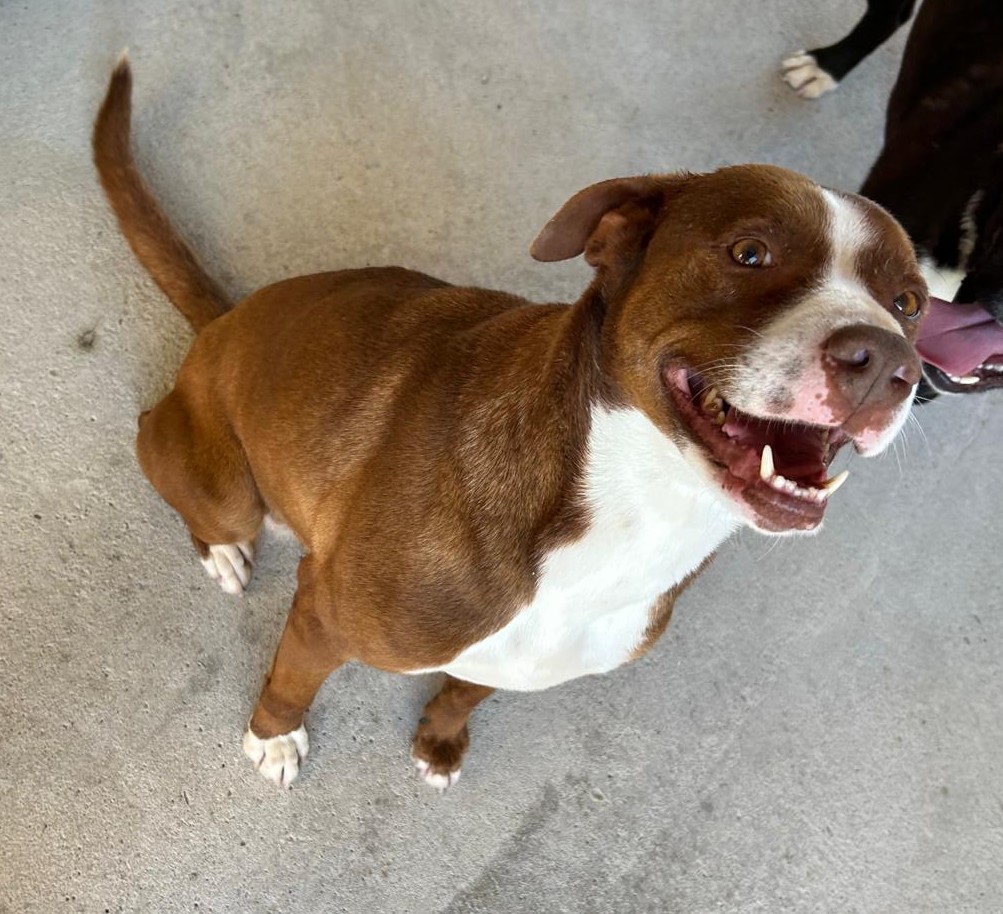 <h3 style="color:#005b98"> Fotografía </h3>