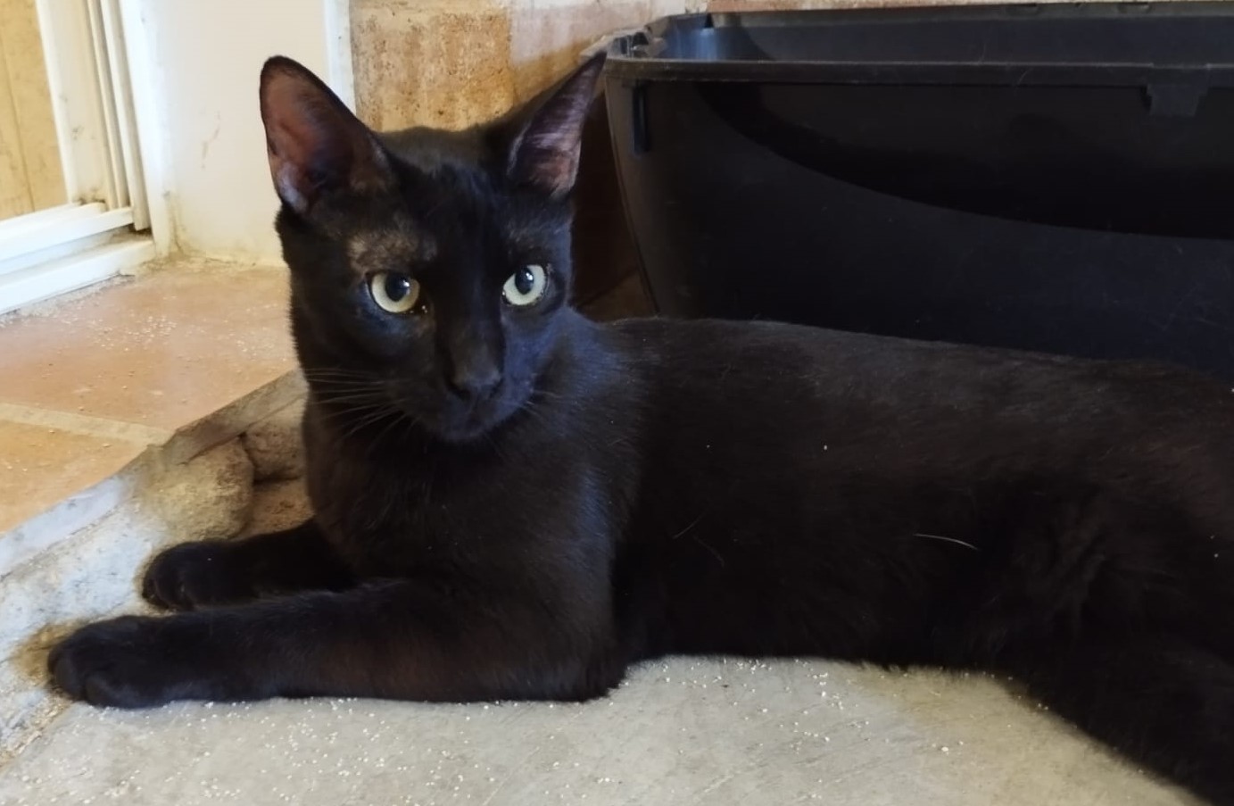 <h3 style="color:#005b98"> Fotografía </h3>