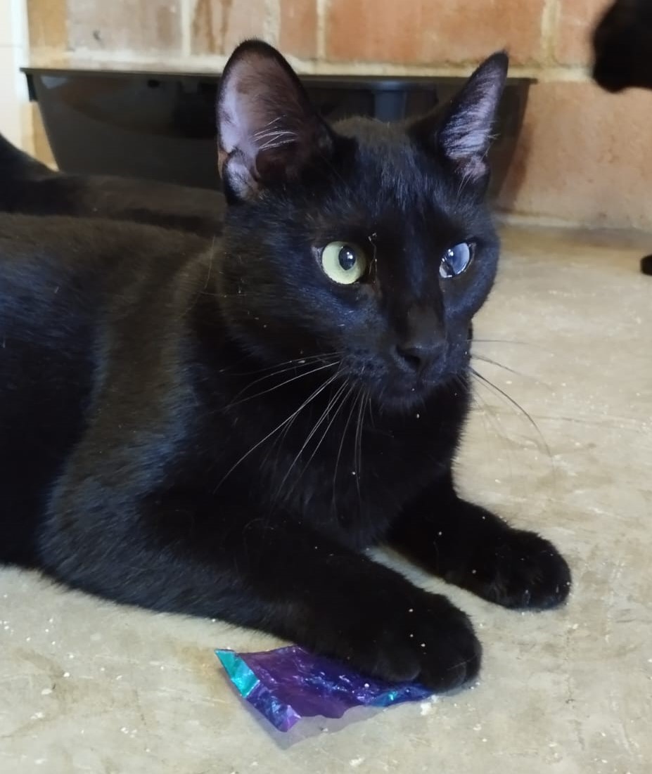 <h3 style="color:#005b98"> Fotografía </h3>