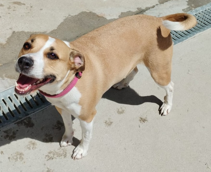 <h3 style="color:#005b98"> Fotografía </h3>