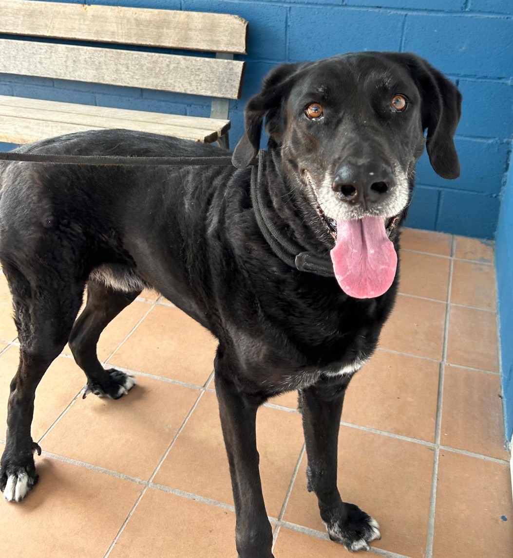 <h3 style="color:#005b98"> Fotografía </h3>