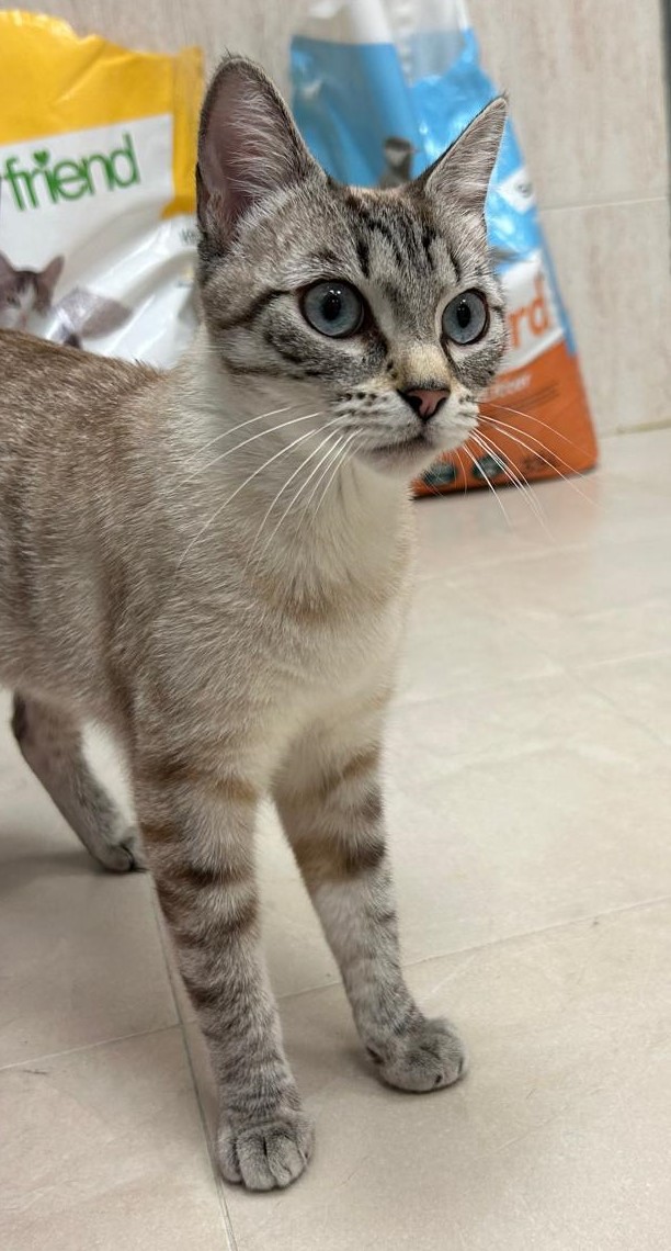 <h3 style="color:#005b98"> Fotografía </h3>