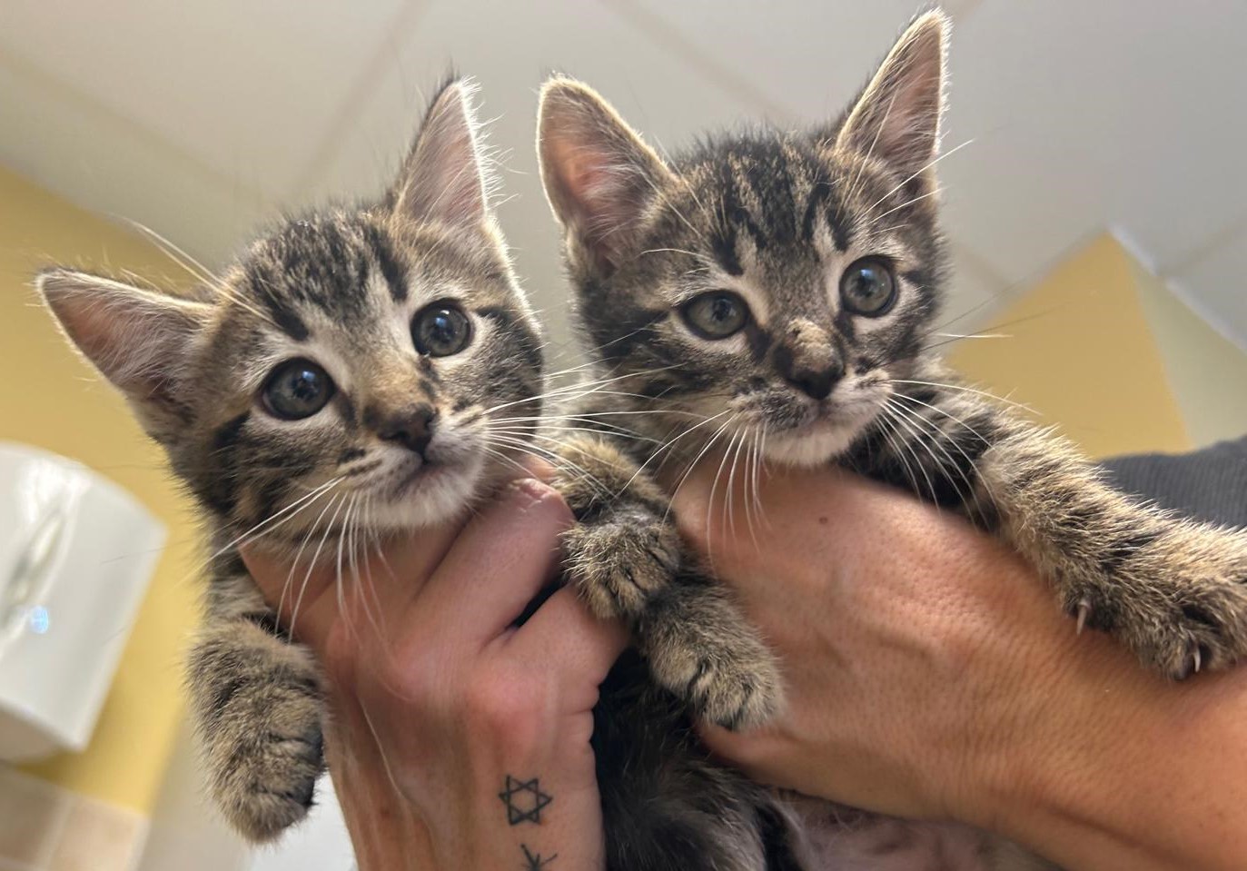 <h3 style="color:#005b98"> Fotografía </h3>