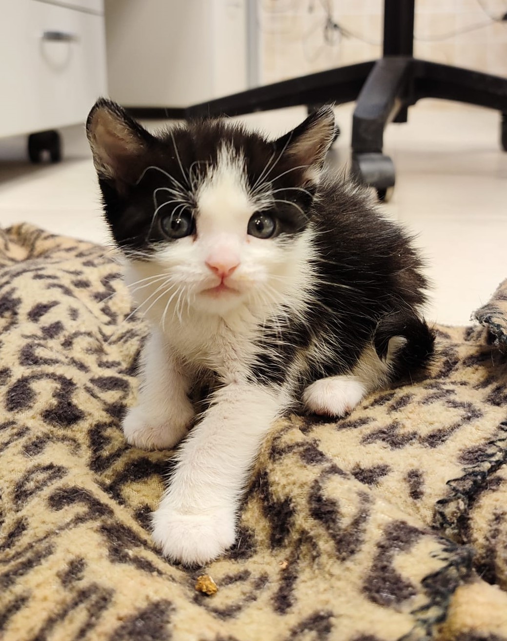 <h3 style="color:#005b98"> Fotografía </h3>