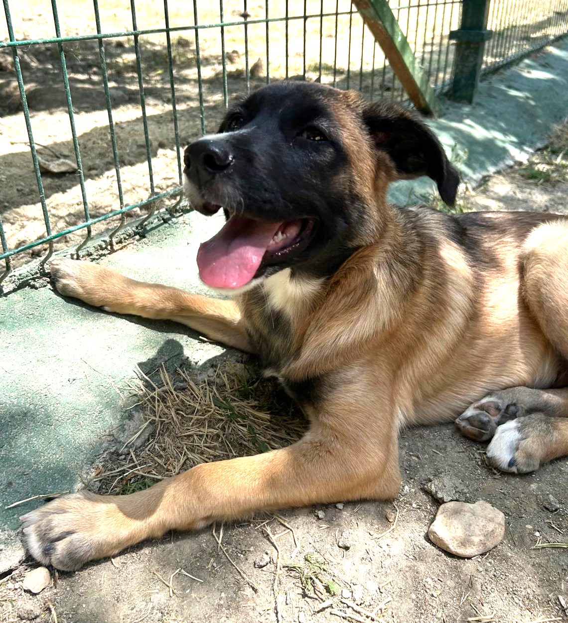 <h3 style="color:#005b98"> Fotografía </h3>