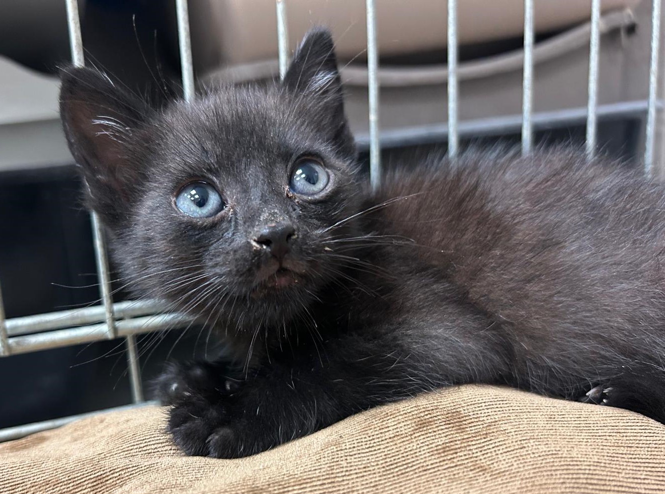 <h3 style="color:#005b98"> Fotografía </h3>