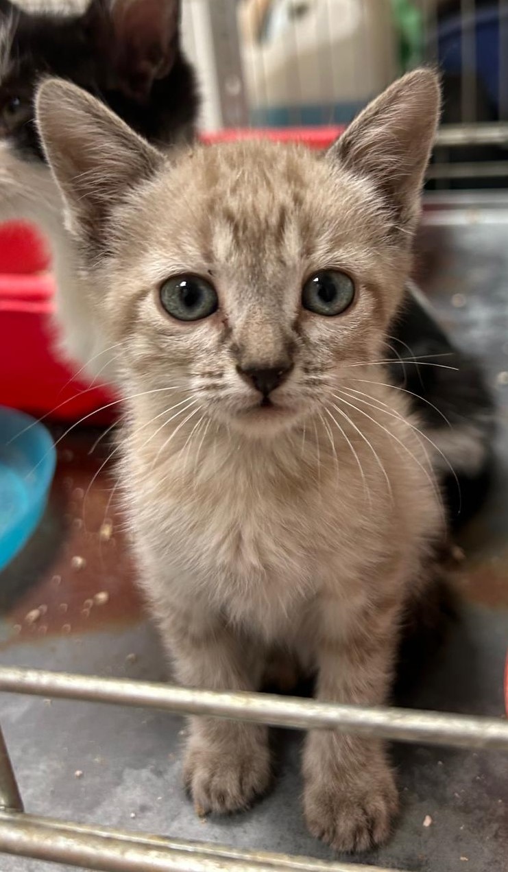 <h3 style="color:#005b98"> Fotografía </h3>