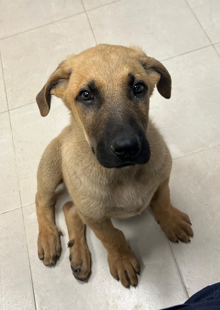 <h3 style="color:#005b98"> Fotografía </h3>