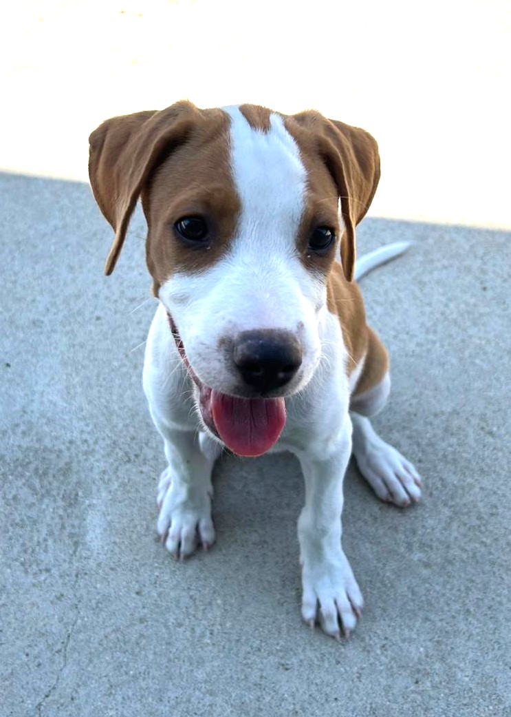 <h3 style="color:#005b98"> Fotografía </h3>