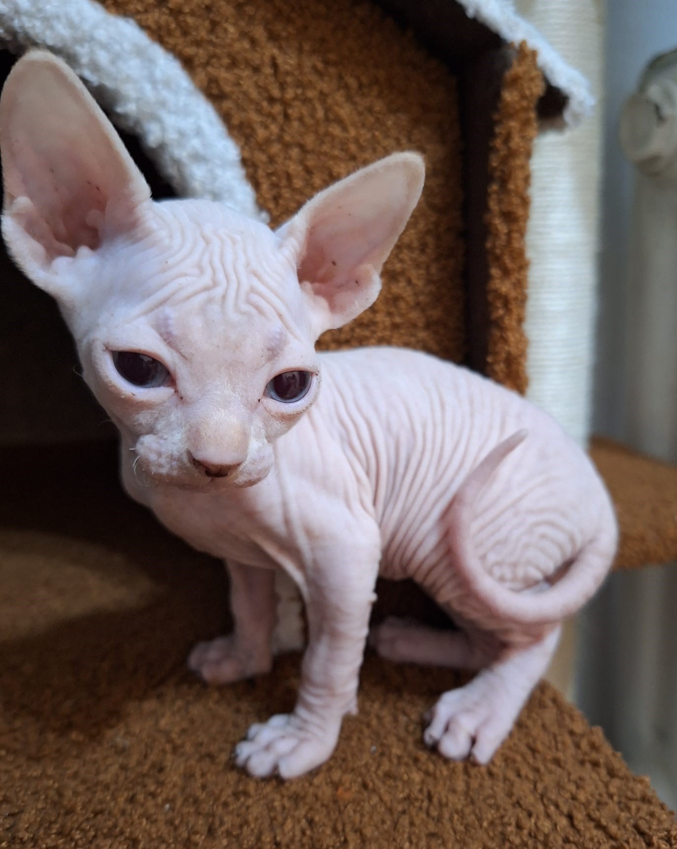 <h3 style="color:#005b98"> Fotografía </h3>