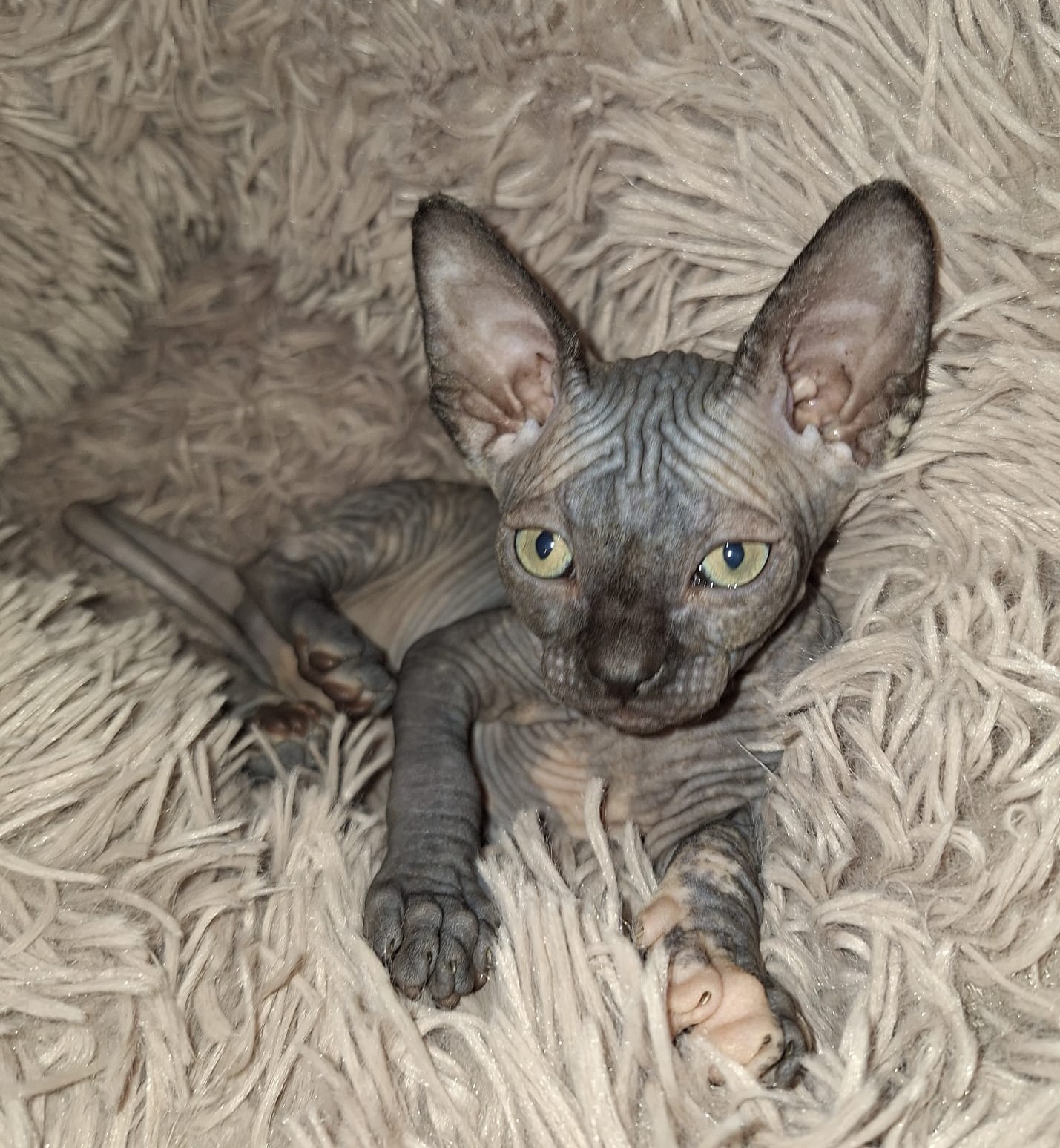 <h3 style="color:#005b98"> Fotografía </h3>