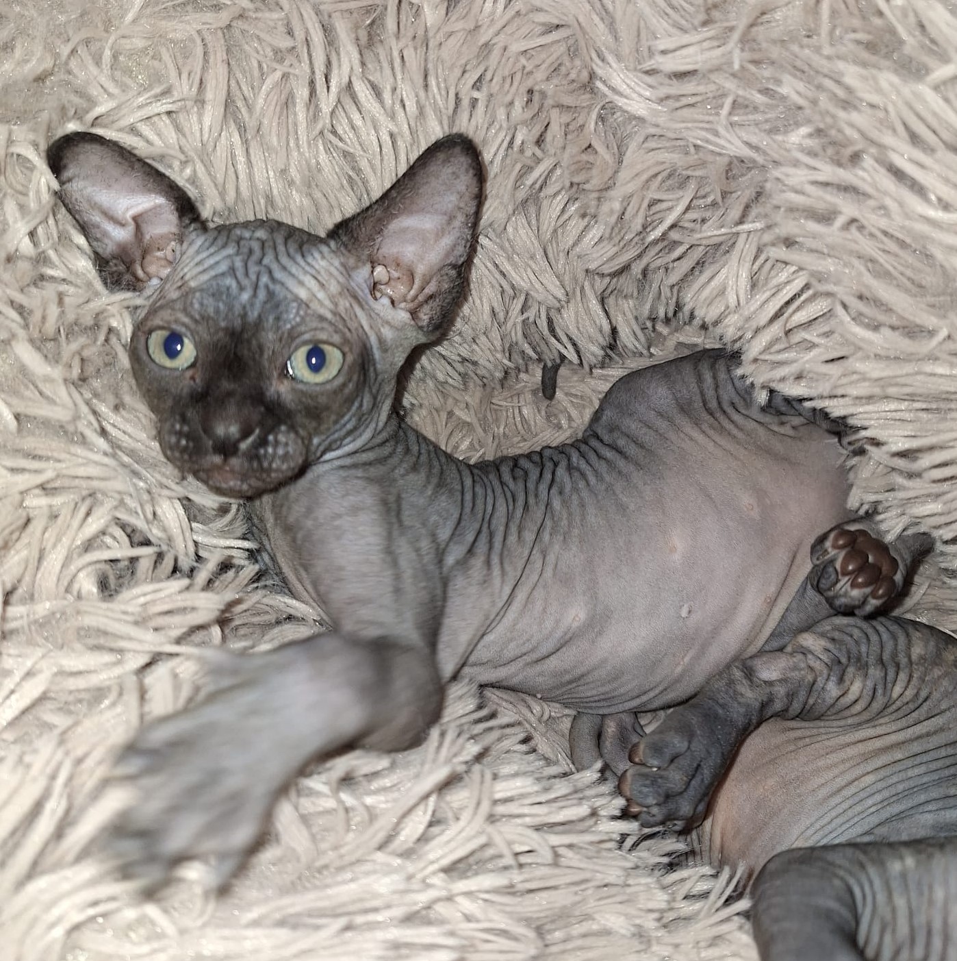 <h3 style="color:#005b98"> Fotografía </h3>