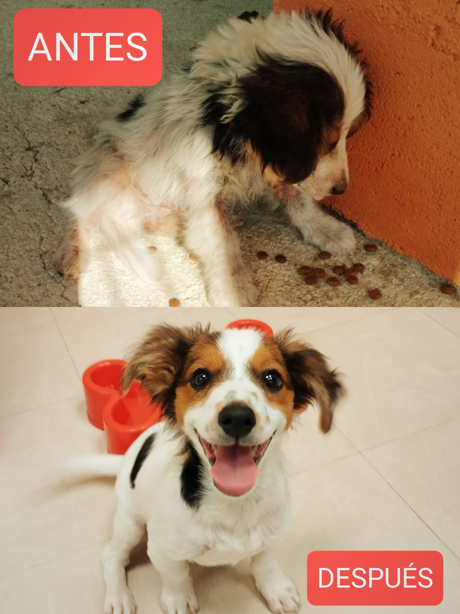 <h3 style="color:#005b98"> Fotografía </h3>