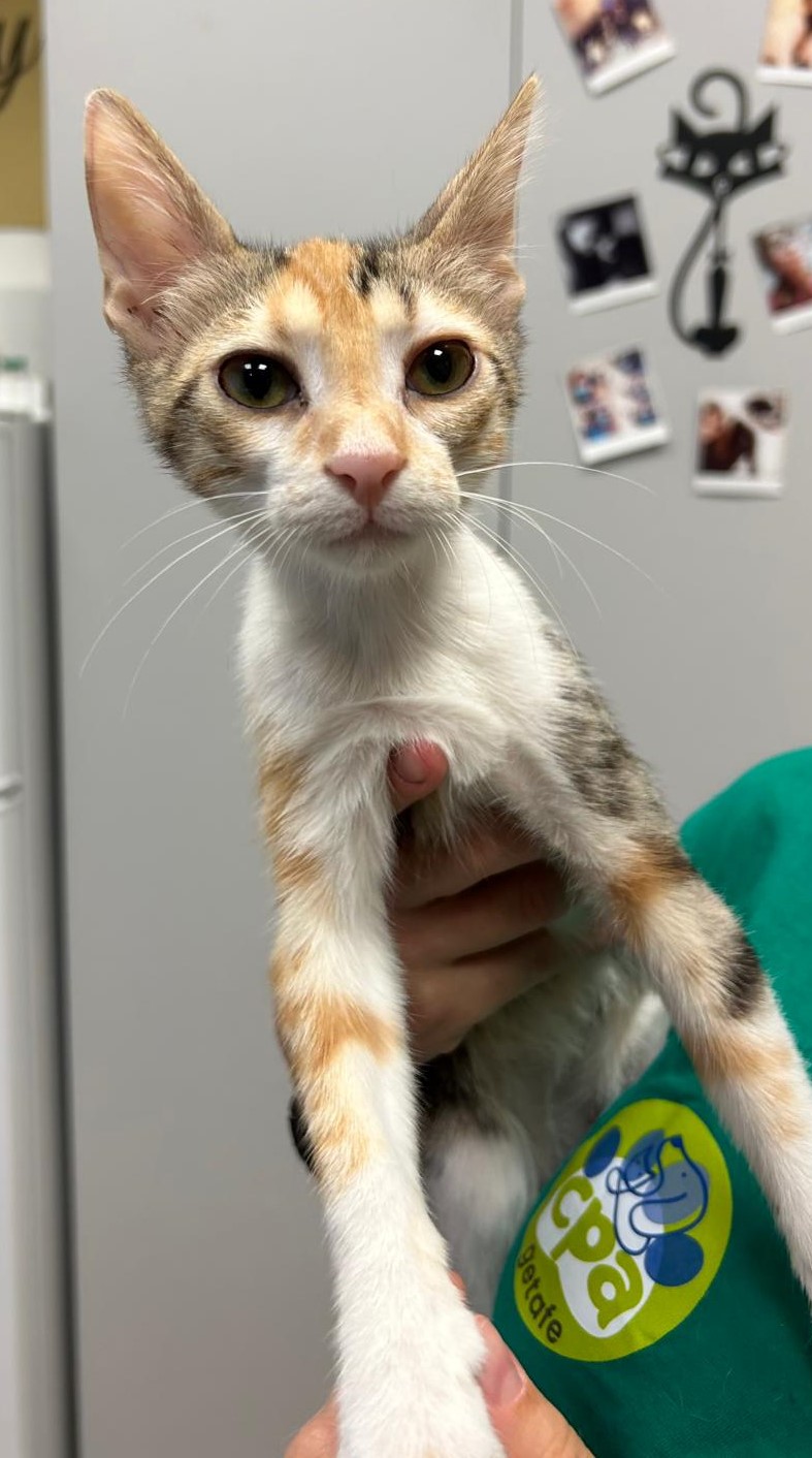 <h3 style="color:#005b98"> Fotografía </h3>