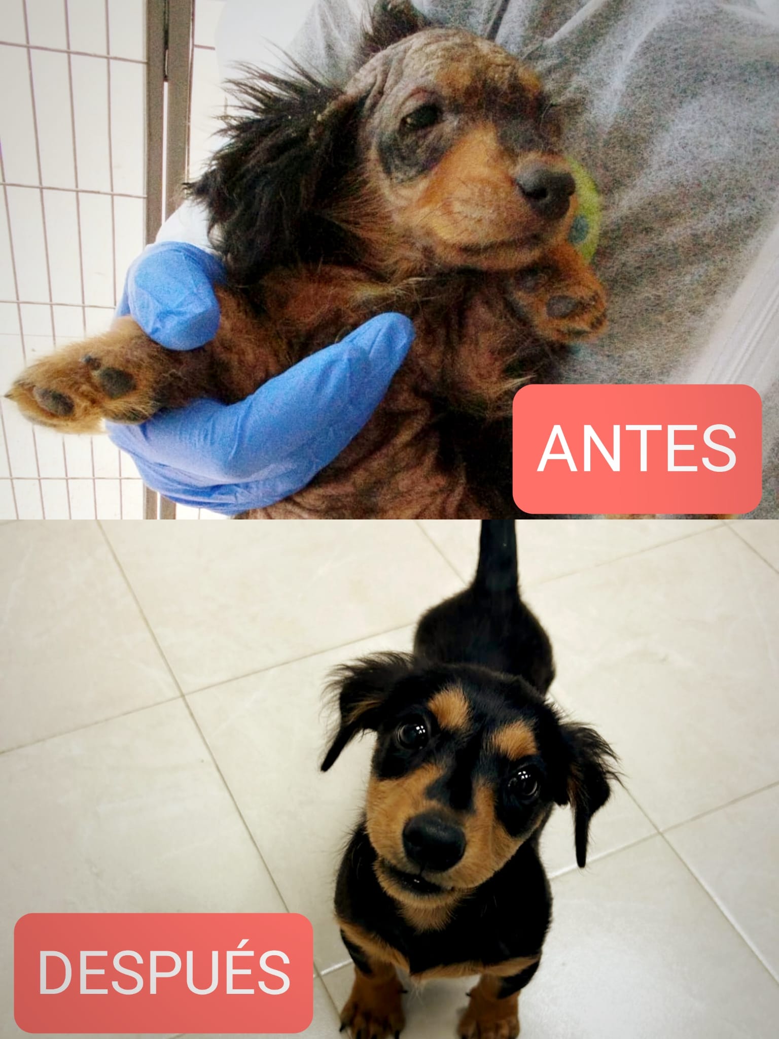 <h3 style="color:#005b98"> Fotografía </h3>