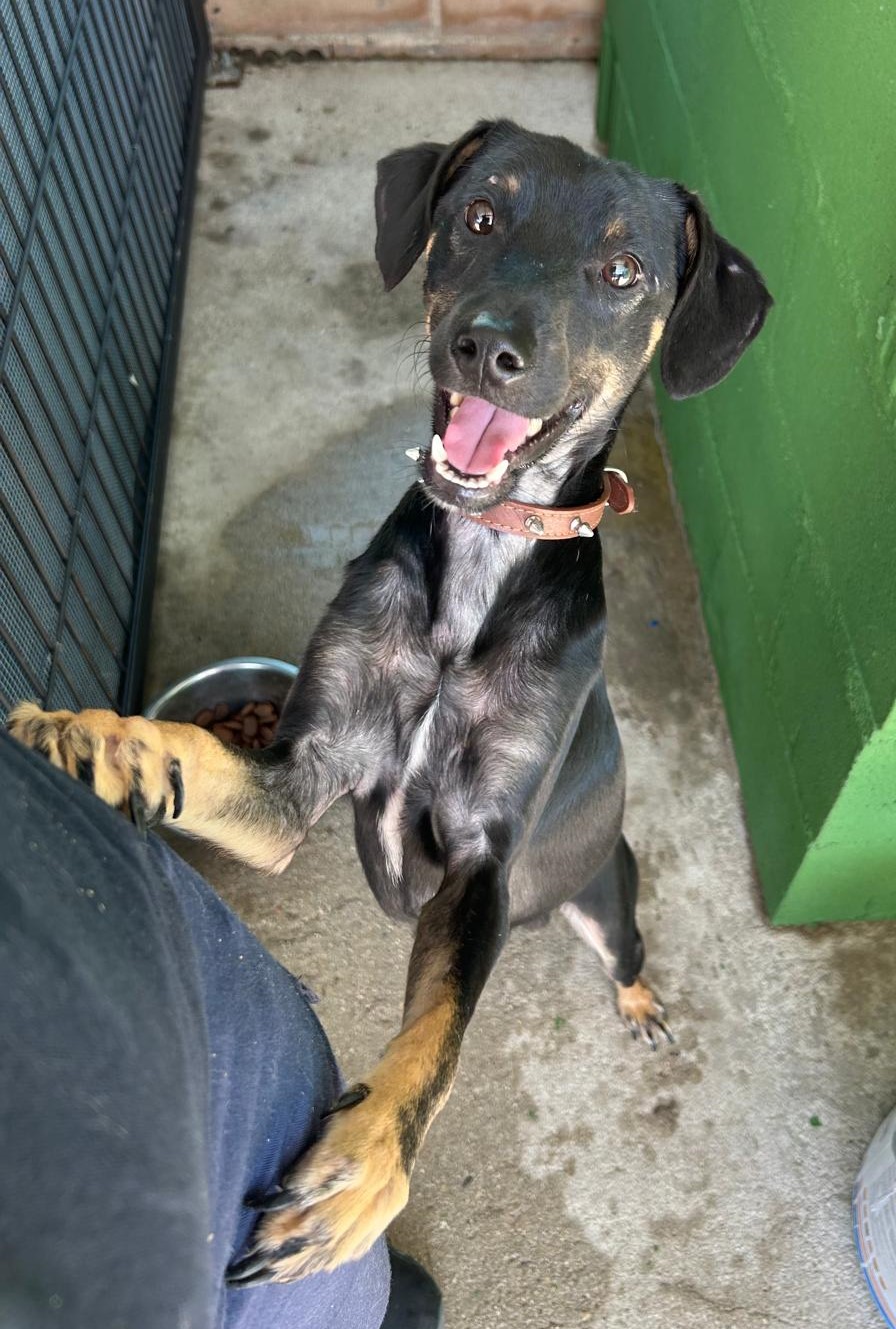 <h3 style="color:#005b98"> Fotografía </h3>