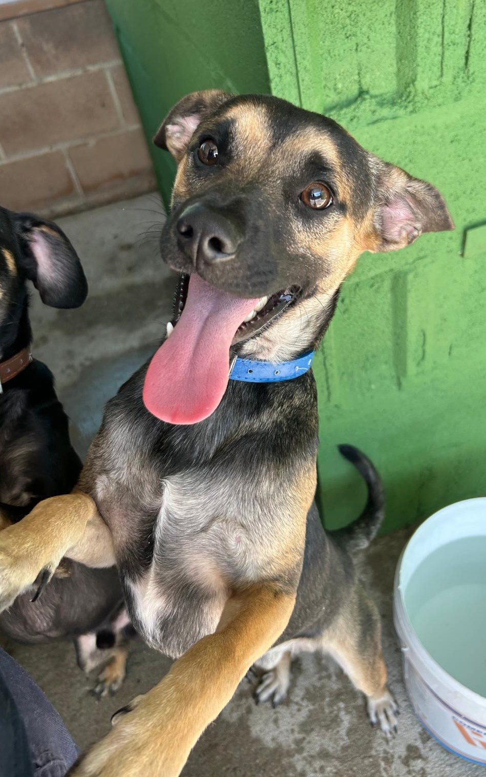 <h3 style="color:#005b98"> Fotografía </h3>