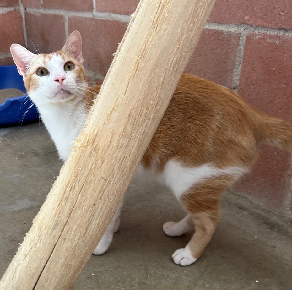 <h3 style="color:#005b98"> Fotografía </h3>