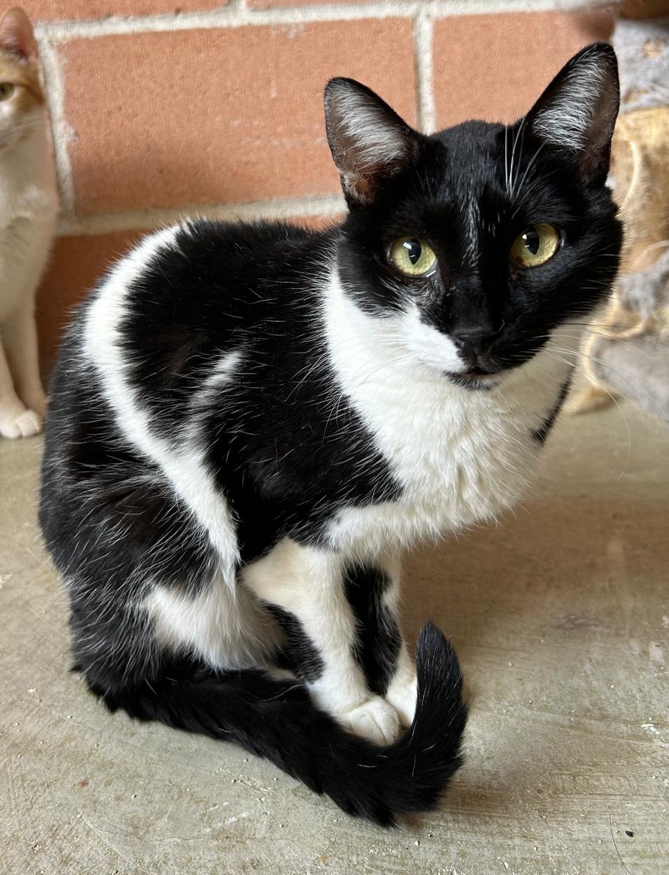 <h3 style="color:#005b98"> Fotografía </h3>