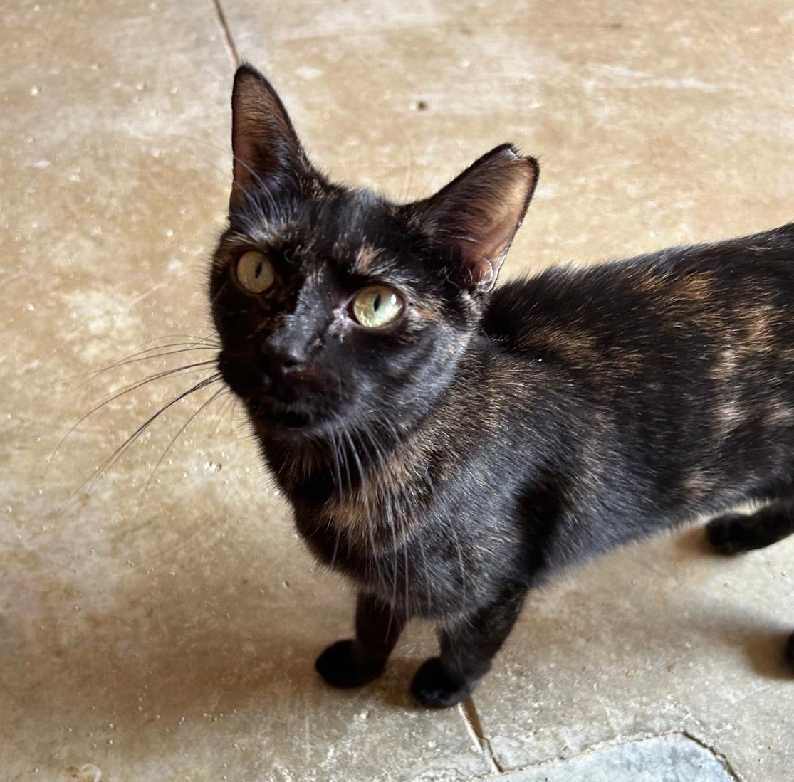 <h3 style="color:#005b98"> Fotografía </h3>