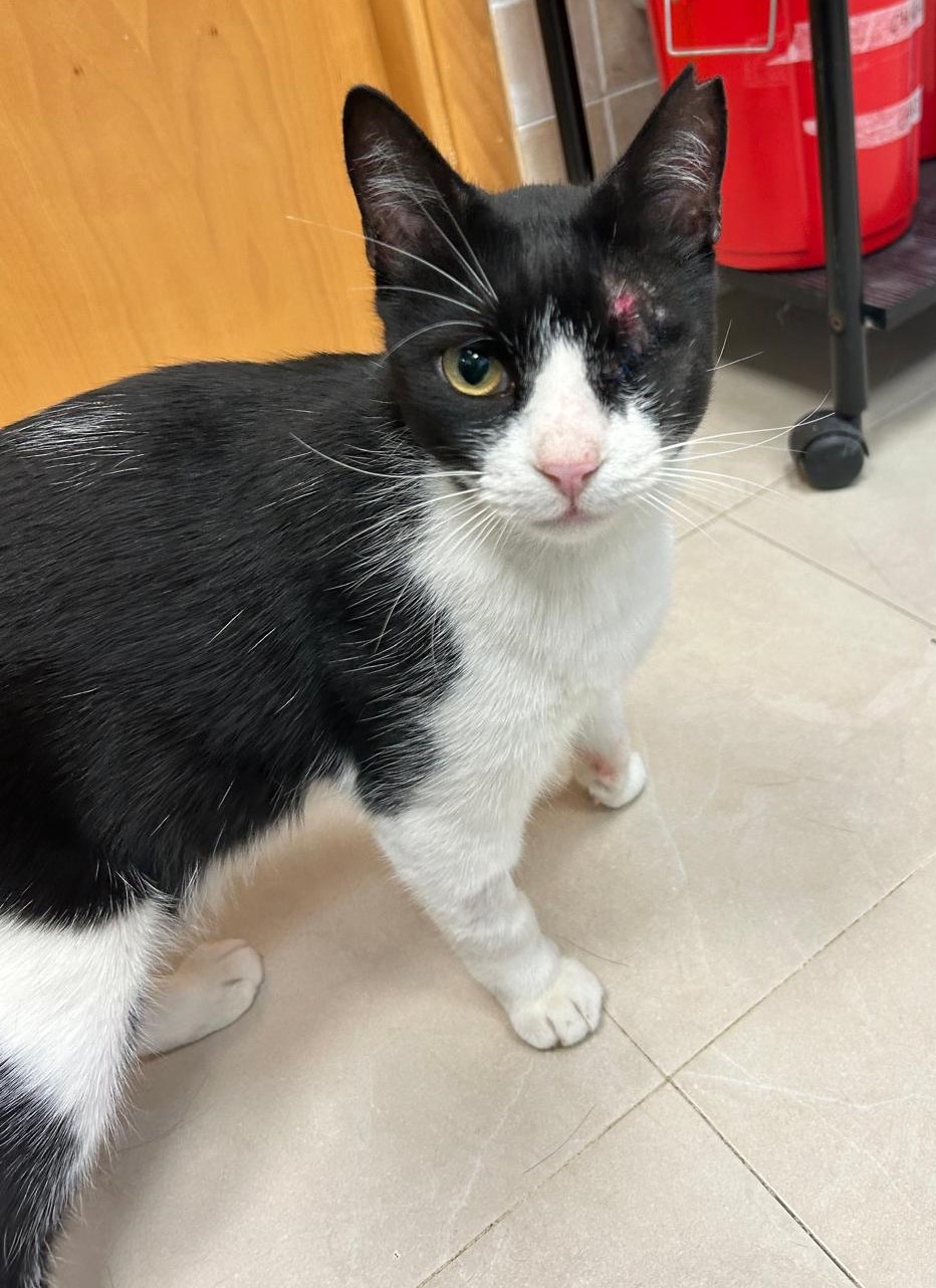 <h3 style="color:#005b98"> Fotografía </h3>