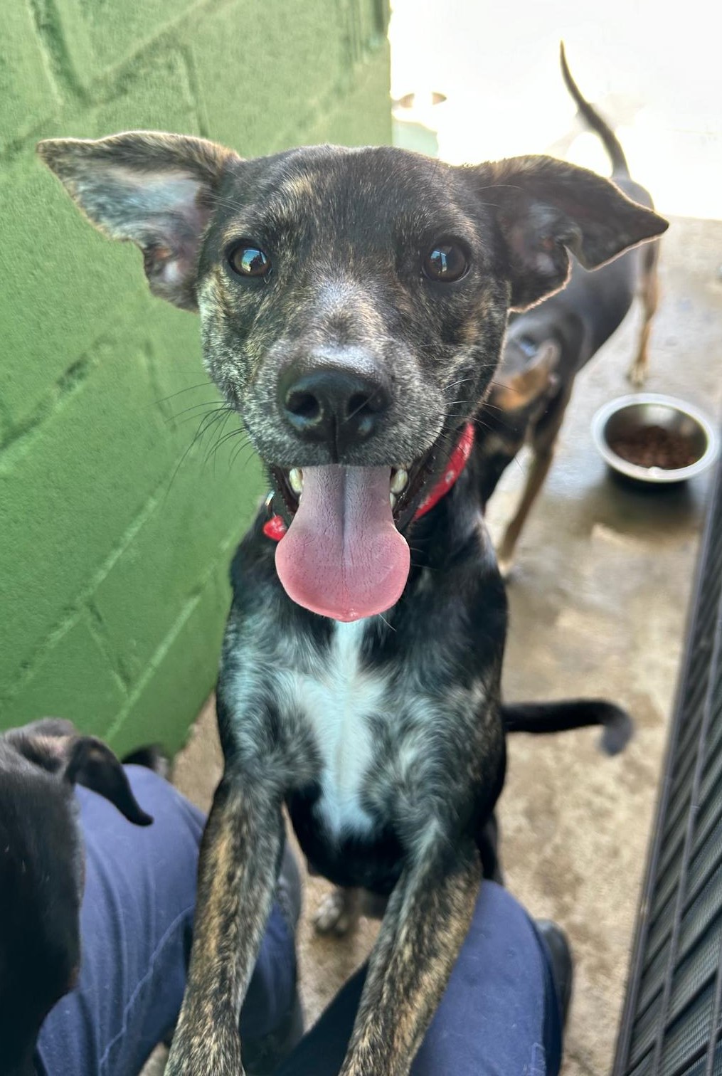 <h3 style="color:#005b98"> Fotografía </h3>