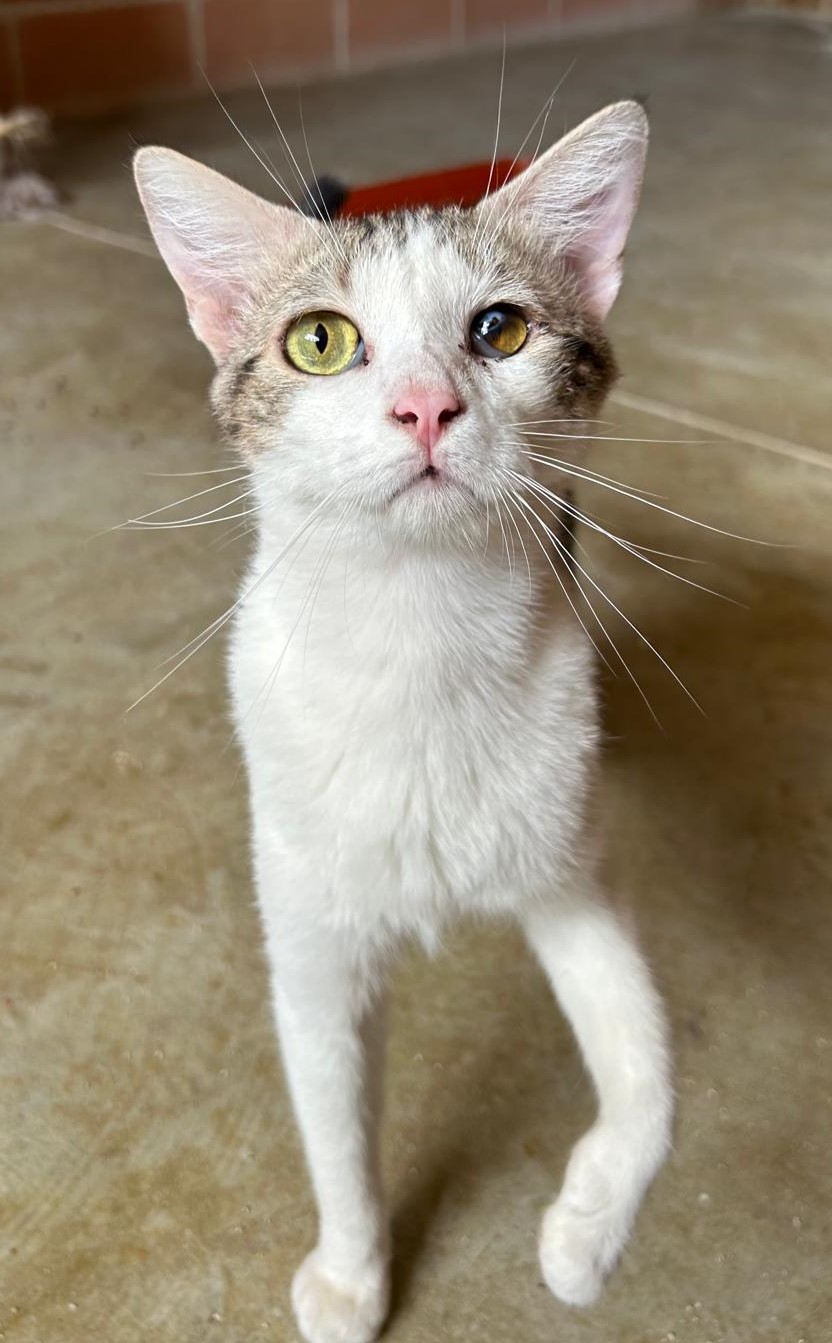 <h3 style="color:#005b98"> Fotografía </h3>