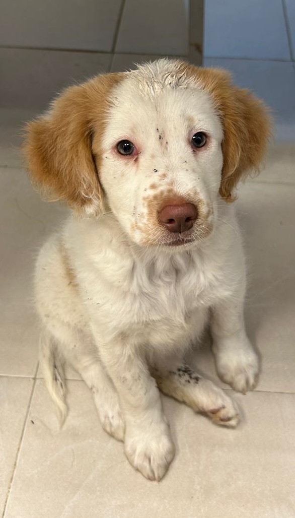 <h3 style="color:#005b98"> Fotografía </h3>