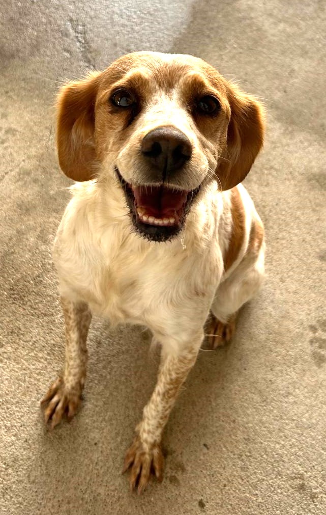 <h3 style="color:#005b98"> Fotografía </h3>