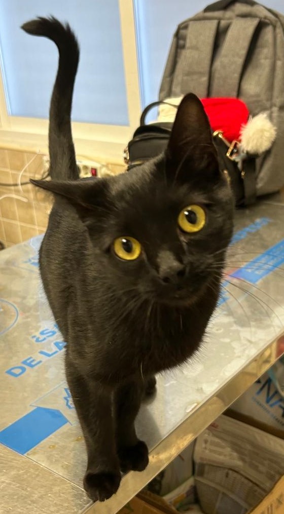 <h3 style="color:#005b98"> Fotografía </h3>