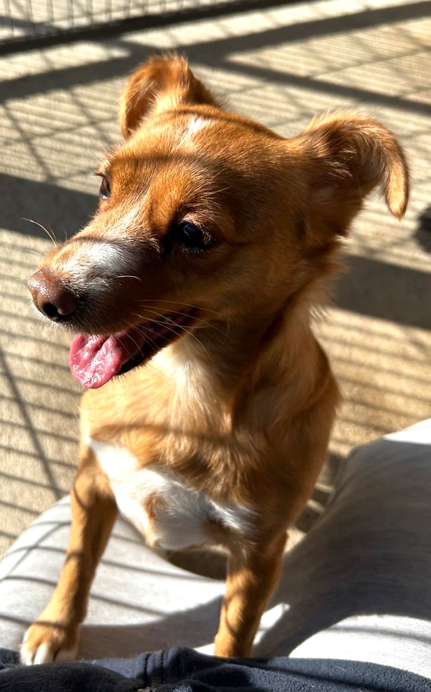 <h3 style="color:#005b98"> Fotografía </h3>