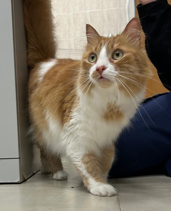 <h3 style="color:#005b98"> Fotografía </h3>