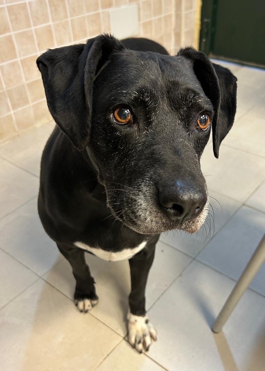 <h3 style="color:#005b98"> Fotografía </h3>