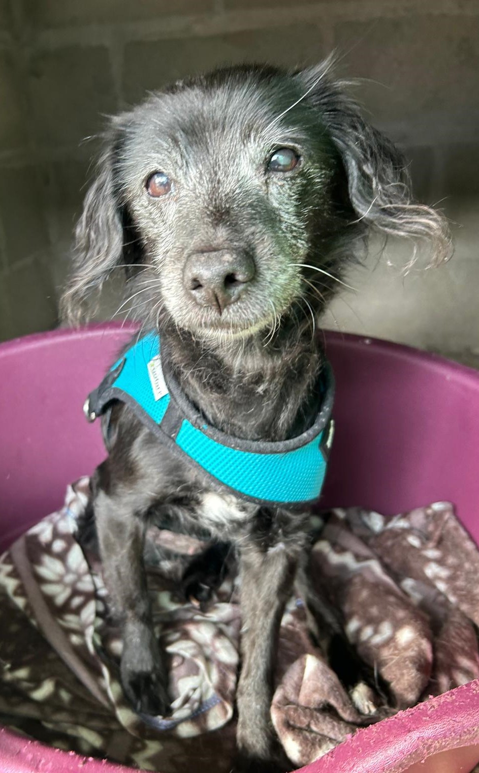 <h3 style="color:#005b98"> Fotografía </h3>