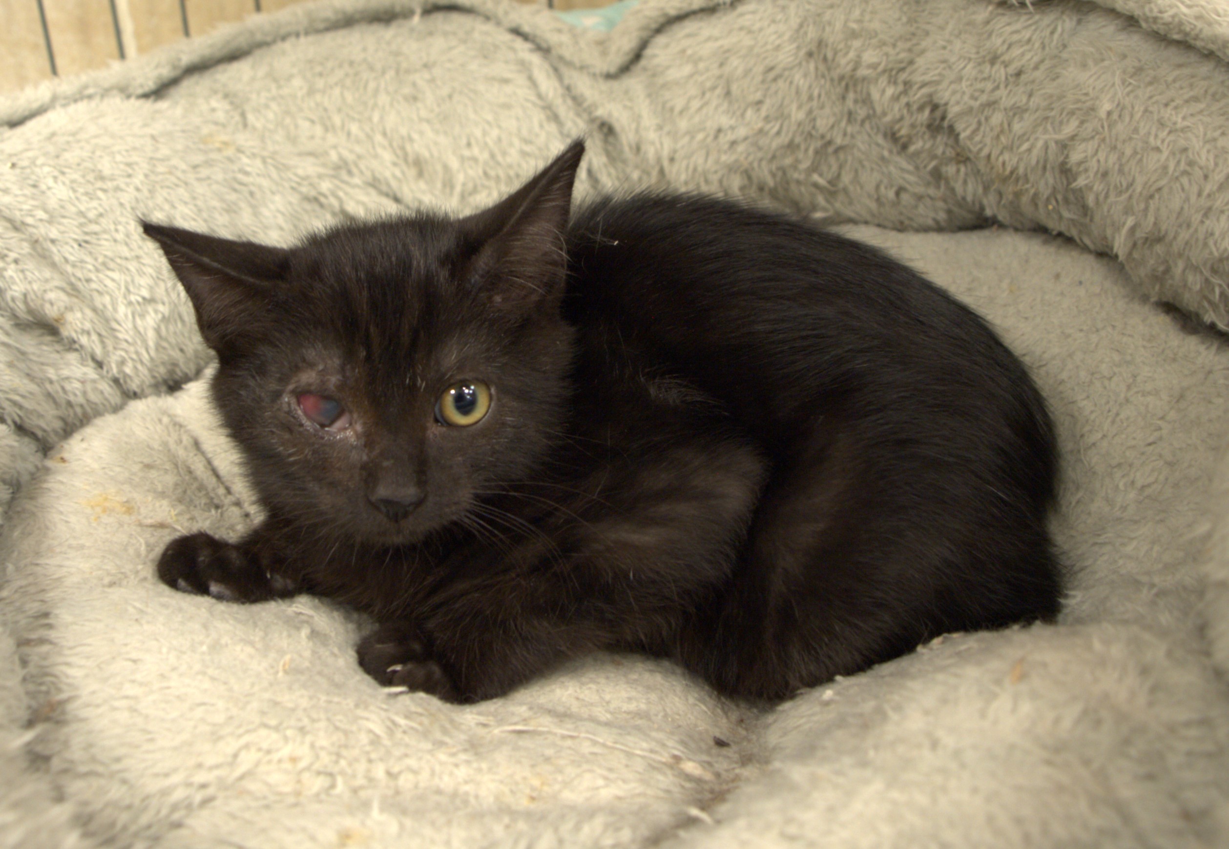 <h3 style="color:#005b98"> Fotografía </h3>