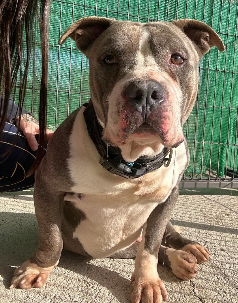 <h3 style="color:#005b98"> Fotografía </h3>