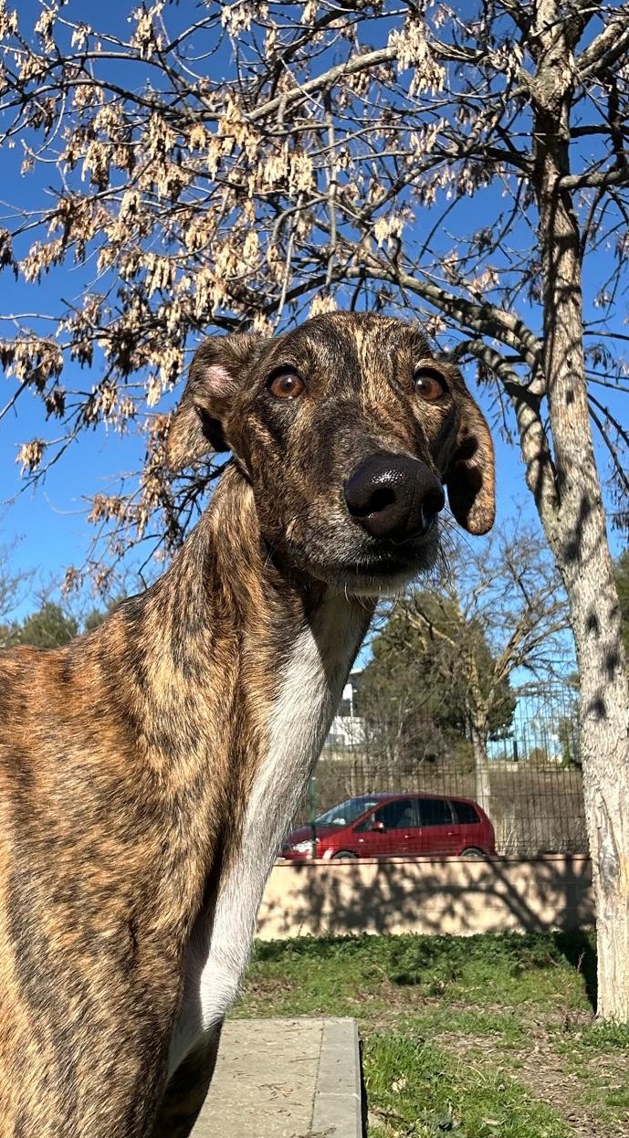 <h3 style="color:#005b98"> Fotografía </h3>