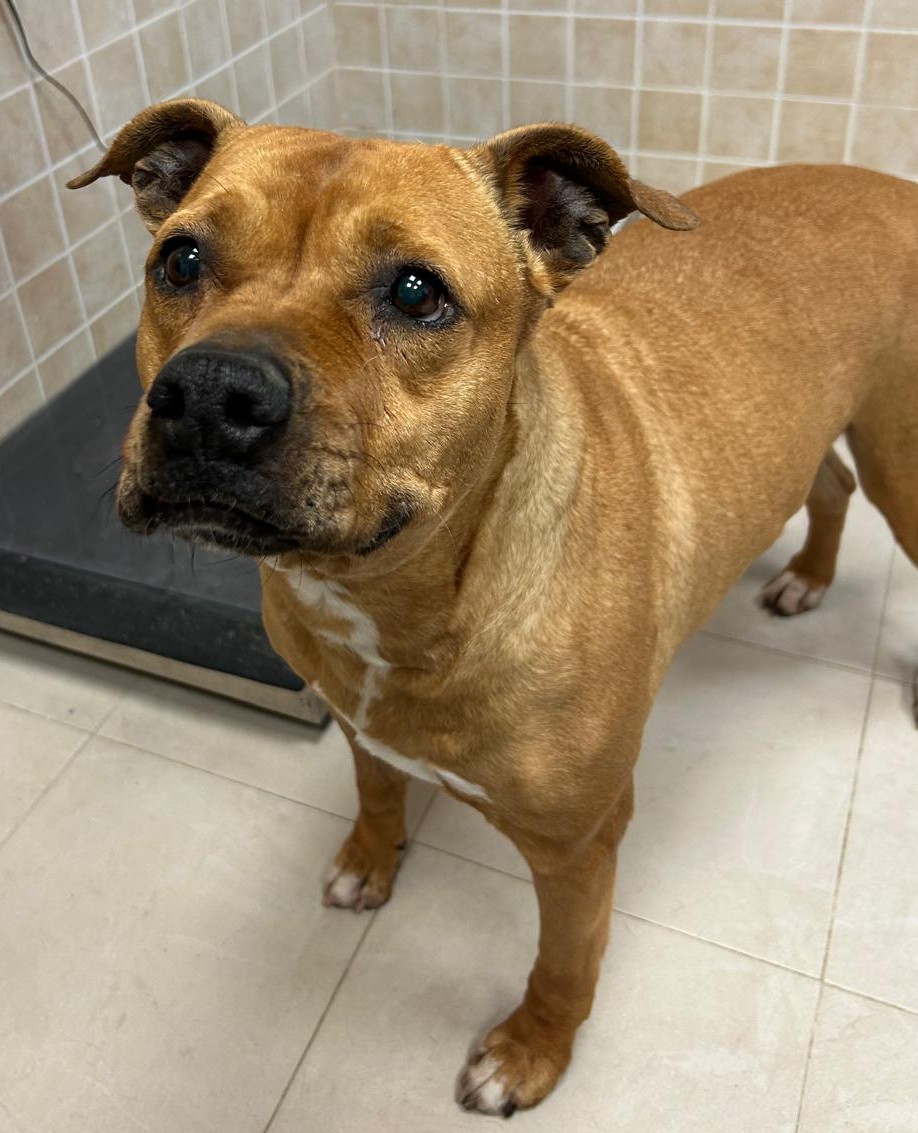 <h3 style="color:#005b98"> Fotografía </h3>