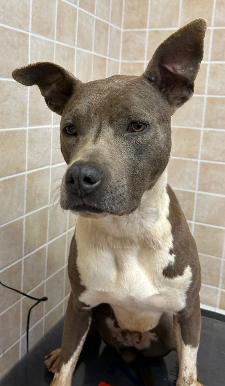 <h3 style="color:#005b98"> Fotografía </h3>