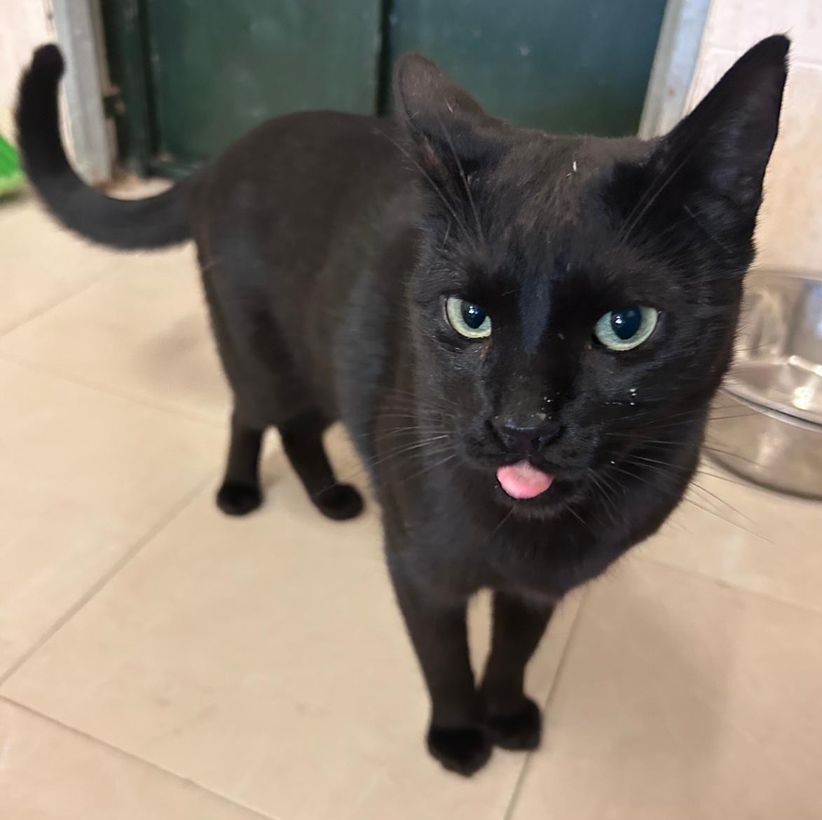 <h3 style="color:#005b98"> Fotografía </h3>