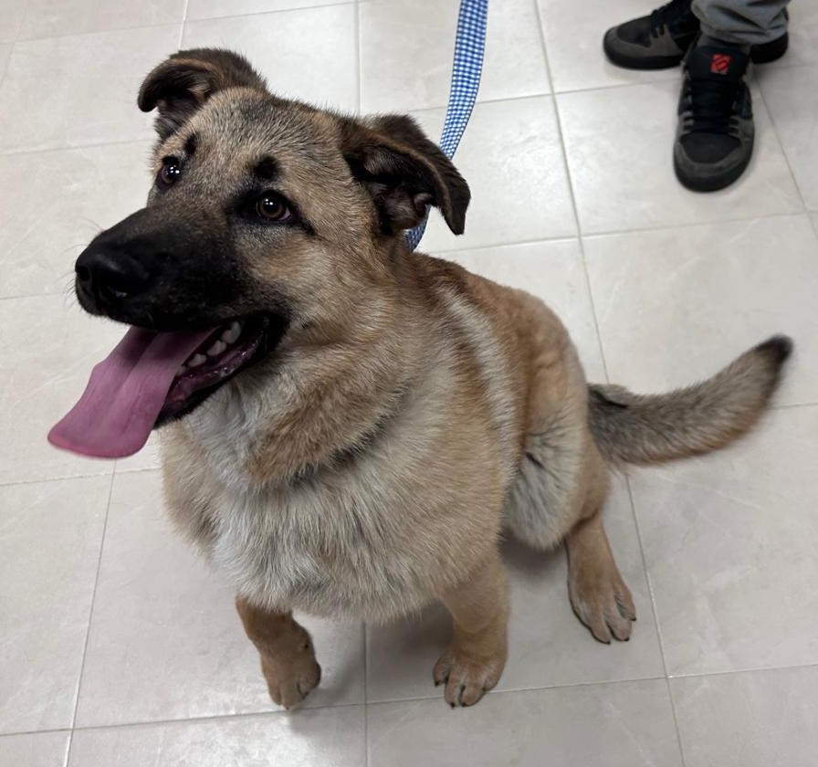 <h3 style="color:#005b98"> Fotografía </h3>