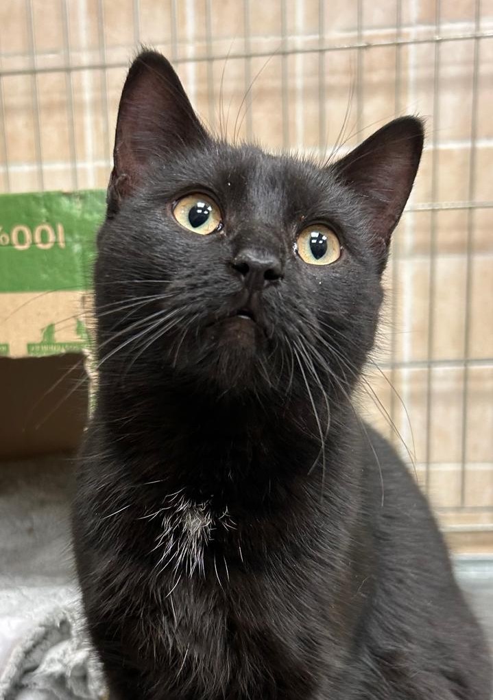 <h3 style="color:#005b98"> Fotografía </h3>