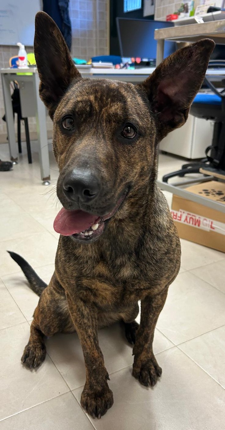 <h3 style="color:#005b98"> Fotografía </h3>