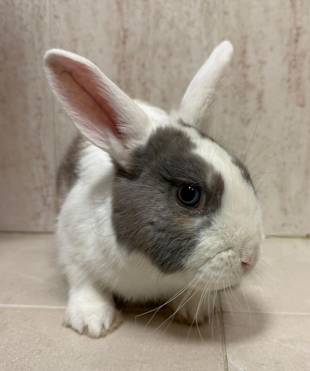 <h3 style="color:#005b98"> Fotografía </h3>