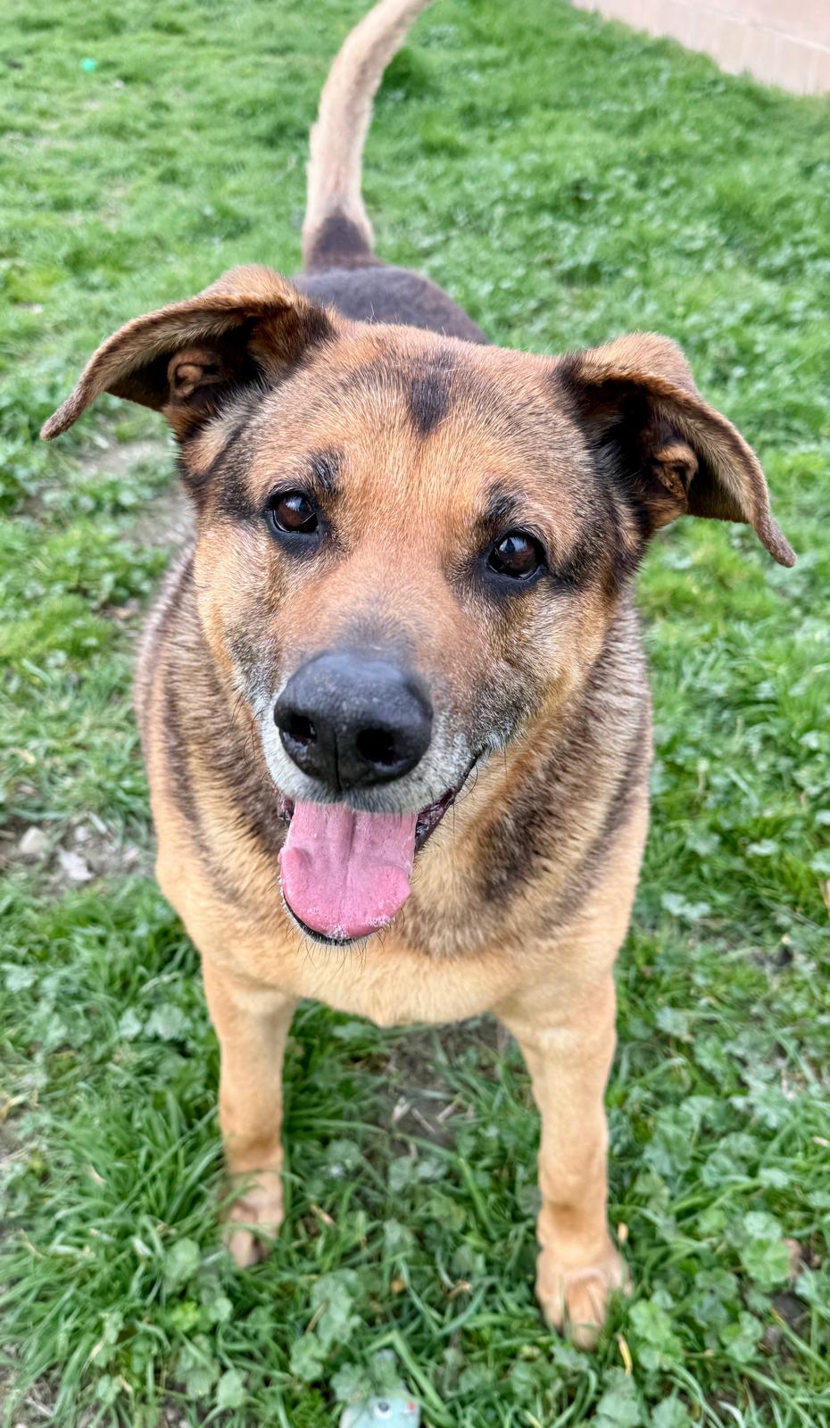 <h3 style="color:#005b98"> Fotografía </h3>