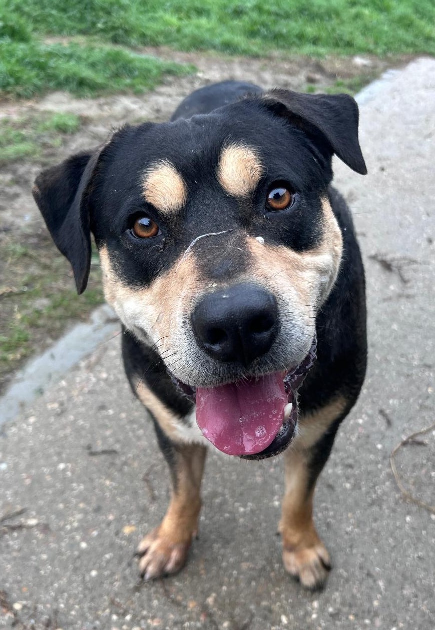 <h3 style="color:#005b98"> Fotografía </h3>