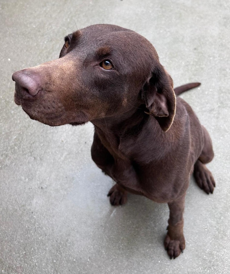 <h3 style="color:#005b98"> Fotografía </h3>